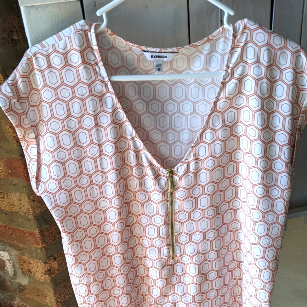 Express Dress Shirt